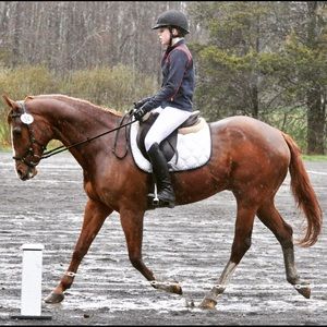 Meet your Posher, Allison